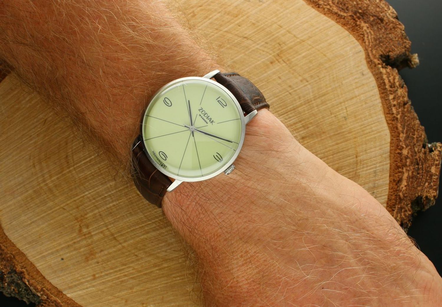 Zegarek Błonie Zodiak Mechaniczny Budyń (1).jpg